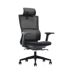 Executive High Back Office Mesh Chair - CH233A