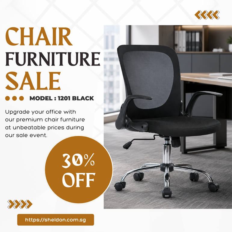 Low Back Mesh Office Chair (1201 Black)